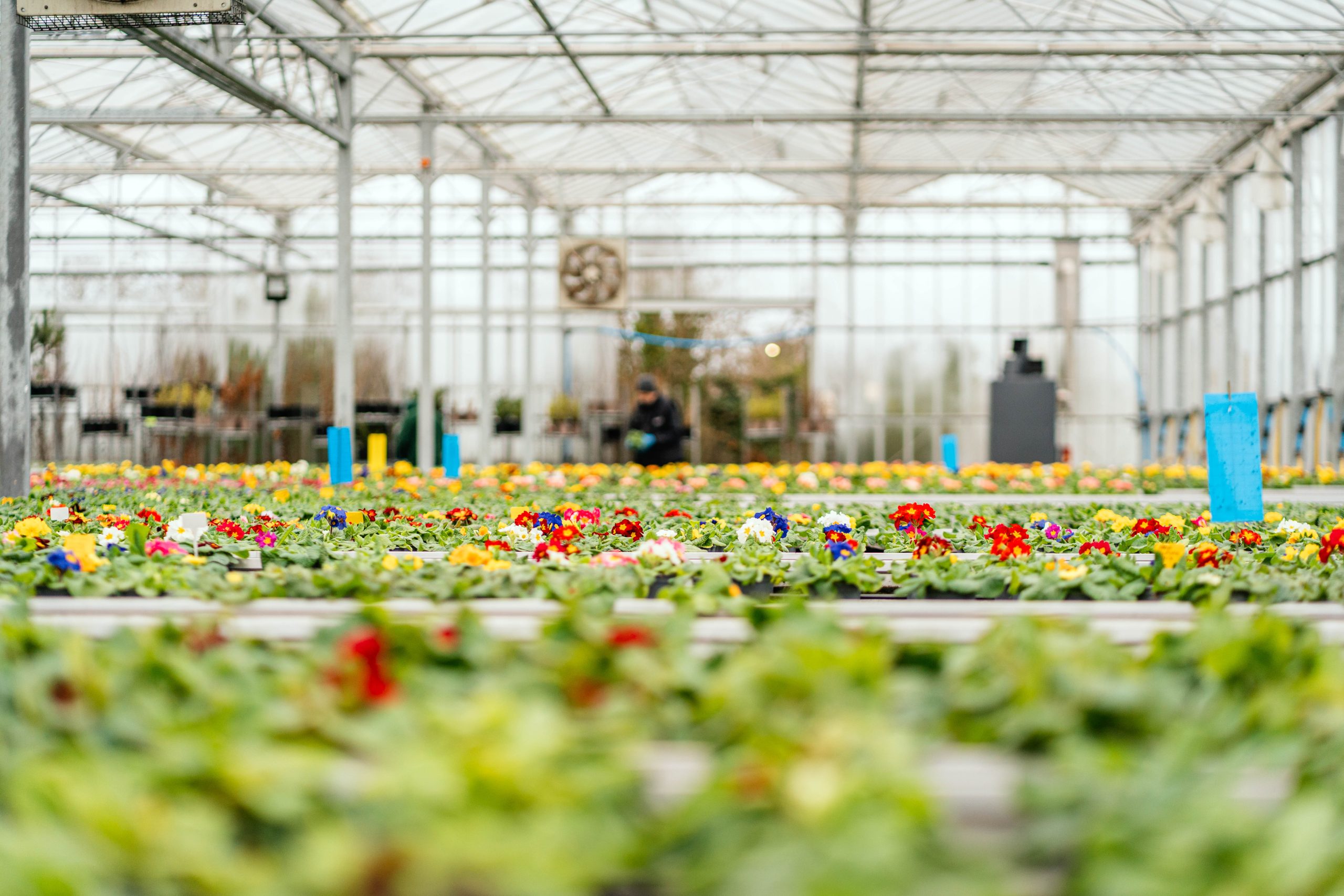Home - Hawgrip Plant Centre & Nursery